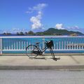 自転車を借りて阿嘉島を巡ってみましょう☆☆