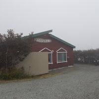 霧多布の草原の中に立っています。