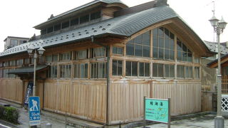 飯坂温泉には公共浴場がいくつかあるんですが、この鯖湖湯がダントツに有名