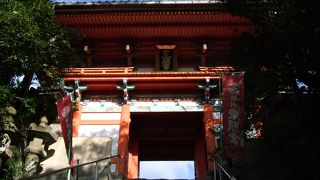 和歌浦湾の入り江が眼下に見えるはずなのですが