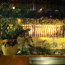 席に座ったら目の前に見えるお庭の風景です。