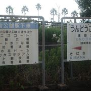 プロ野球キャンプ地として有名