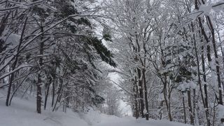 やっぱここだね！