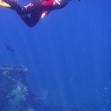 浜辺から急に深くなり、そこに沈船が沈んでいます