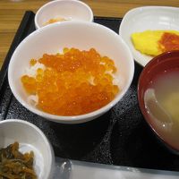 朝からいくら丼、最高です。