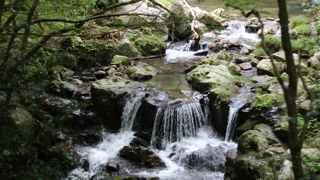 涼しく、なかなか良かったです