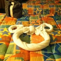 部屋に到着し発見。こんな遊び心はディズニーならではですね！