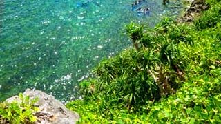 ホントに混んでるっ！