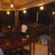 雨がすごいです。ピンぼけぎみ