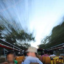 夏の夕方･･走ってる時の風がとても気持ちいい♪ でもこれが冬