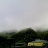 霧が出てましたがベランダからの眺めです。写真でみるよりきれい