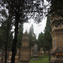 塔林は　少林寺の高僧のお墓です