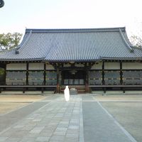 国宝の金堂です