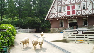 夏、オススメです。