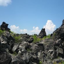 一面黒い岩でいっぱいです。