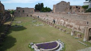 広大な面積・高台