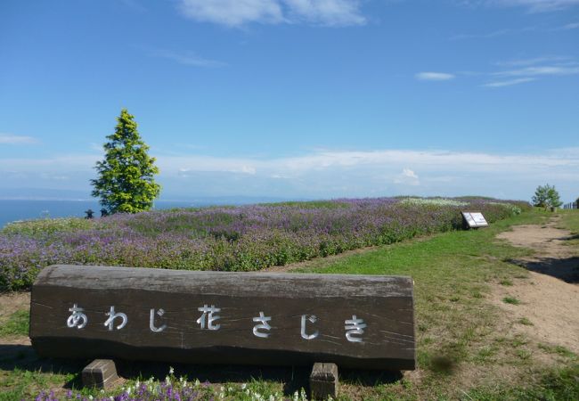 壮大な景色です