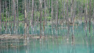 コバルトブルーの神秘的な池