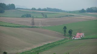 大地に隆起がある広い農地