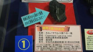 県立自然博物館