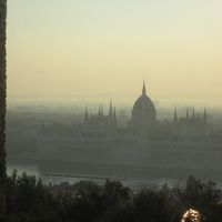 廊下から見える景色です。