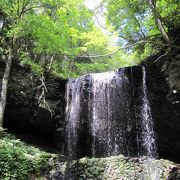 滝の裏側からみる景色はひと味違う！