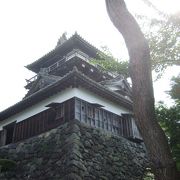 平山城では最古の天守閣です。