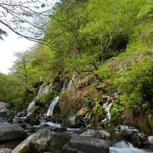 下流側から見た風景