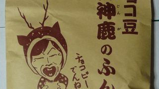 奈良公園名物　鹿です。天然記念物でもあります。　大変おとなしいく餌も上げれます