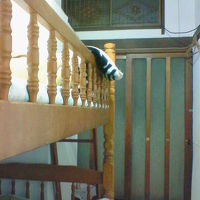 アットホームな客室です。