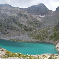 美しいラックブラン