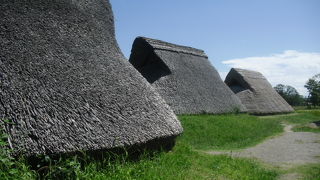 登呂博物館、芹沢介美術館も