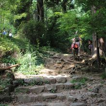 たいへんそうです