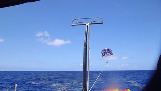 色んなタイプのアクティビティが豊富で使いやすい会社です