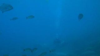 水族館ではありません