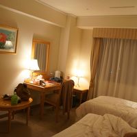 室内はビジネスホテルですね