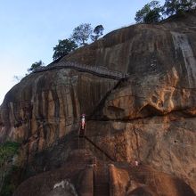 ライオンテラスから。蜂が多いのでここでスーツを着用。
