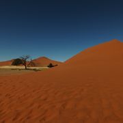 ナミブ砂漠で最大の砂丘