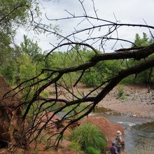 向こうが駐車場方面です