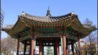 ようやく散歩出来るようになりました。