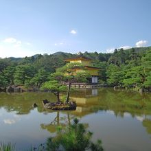 金閣寺