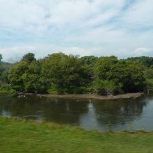 釧路湿原駅〜塘路駅間の車窓風景