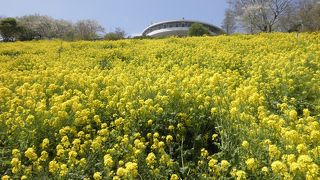 何度行っても楽しい