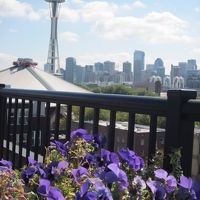 屋上のテラスから