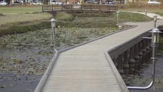 大陵苑や雁鴨池などがある地域です。