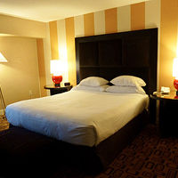 一番安いカテゴリのお部屋です。