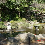 諏訪神社のとなりにある閑静な公園