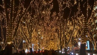 定禅寺通りがキラキラと輝きます