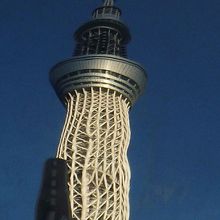 鏡部分のみトリミング