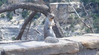小さい子供も感動です！
